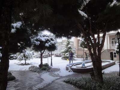 دانشگاه هنر